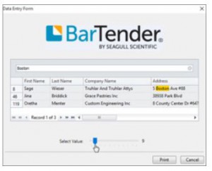 BarTender Dateneingabe 2016